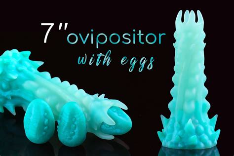 oviposter porn|Oviposition .